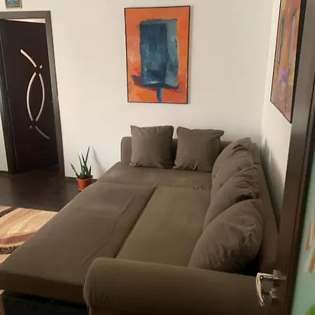 Casa Robert Крайова